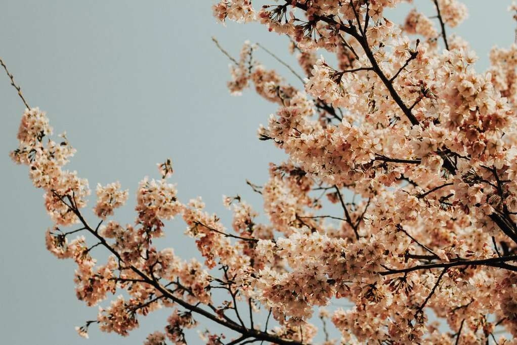 article_headermedia